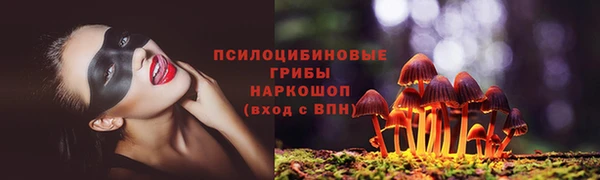 метадон Липки