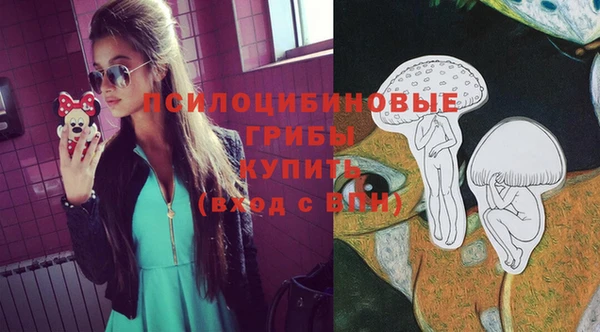 прущий лед Лиски